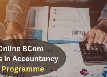 Online BCom Hons in Accountancy