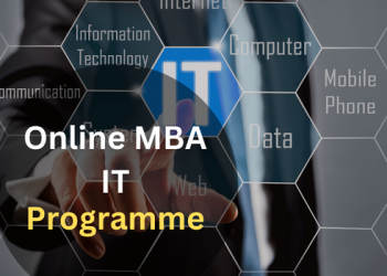 Online MBA IT